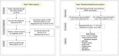 Multiple sclerosis and breast cancer risk: a meta-analysis of observational and Mendelian randomization studies